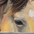 Window to the Soul